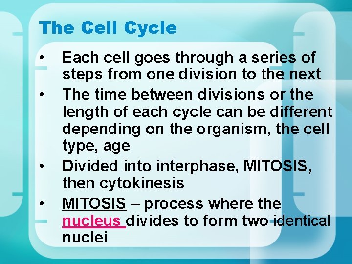 The Cell Cycle • • Each cell goes through a series of steps from
