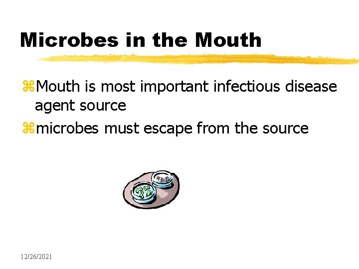 Microbes in the Mouth z. Mouth is most important infectious disease agent source zmicrobes
