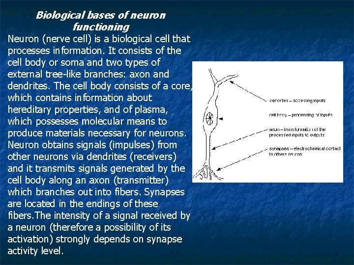 Biological bases of neuron functioning Neuron (nerve cell) is a biological cell that processes