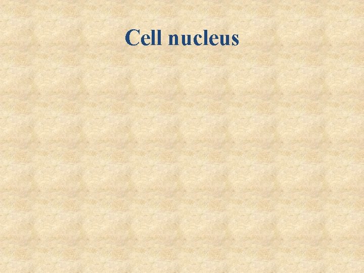 Cell nucleus 