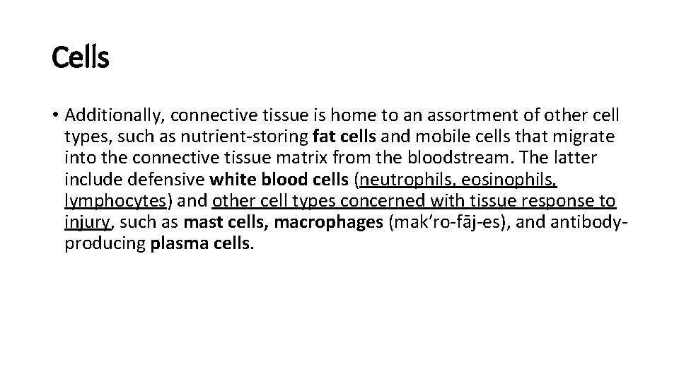 Cells • Additionally, connective tissue is home to an assortment of other cell types,