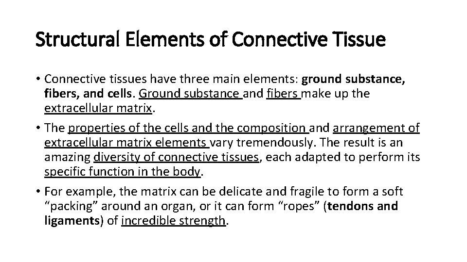 Structural Elements of Connective Tissue • Connective tissues have three main elements: ground substance,