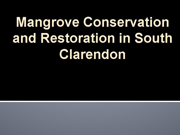 Mangrove Conservation and Restoration in South Clarendon 