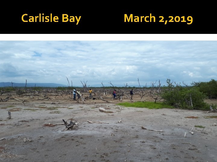 Carlisle Bay March 2, 2019 
