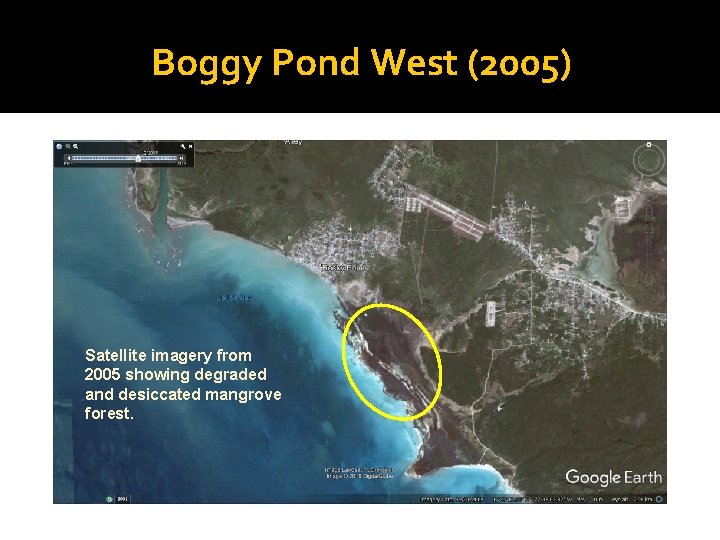 Boggy Pond West (2005) Satellite imagery from 2005 showing degraded and desiccated mangrove forest.