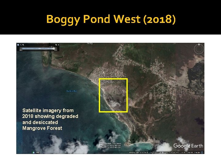 Boggy Pond West (2018) Satellite imagery from 2018 showing degraded and desiccated Mangrove Forest