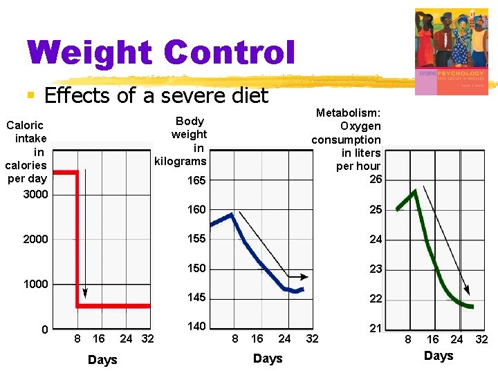 Weight Control § Effects of a severe diet 165 Metabolism: Oxygen consumption in liters