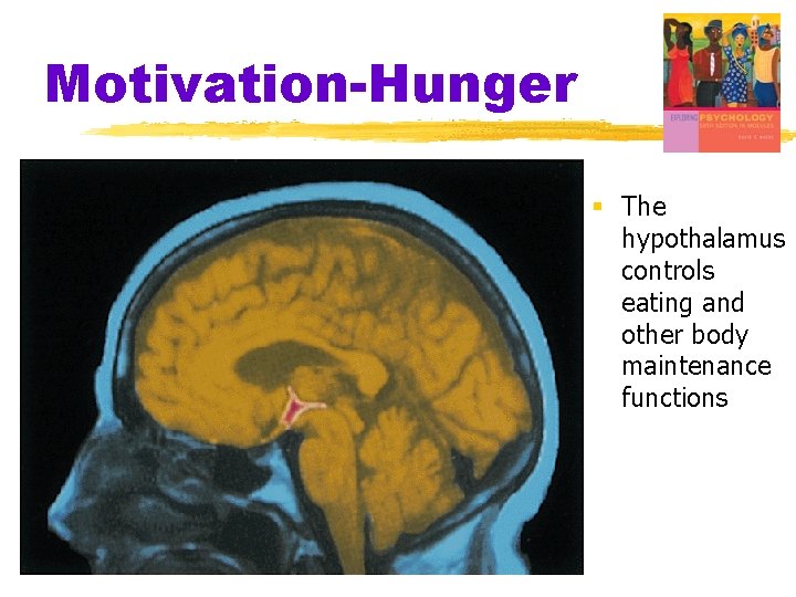 Motivation-Hunger § The hypothalamus controls eating and other body maintenance functions 