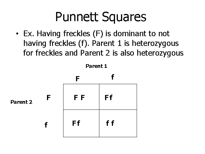 Punnett Squares • Ex. Having freckles (F) is dominant to not having freckles (f).