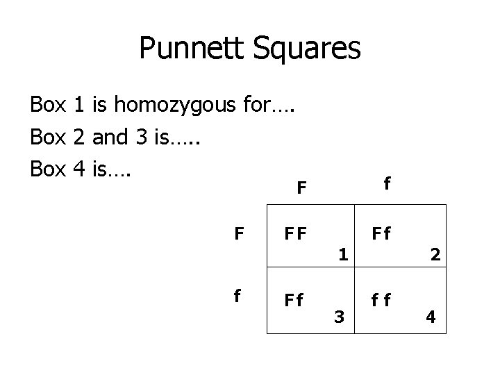 Punnett Squares Box 1 is homozygous for…. Box 2 and 3 is…. . Box