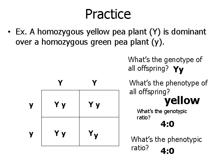 Practice • Ex. A homozygous yellow pea plant (Y) is dominant over a homozygous