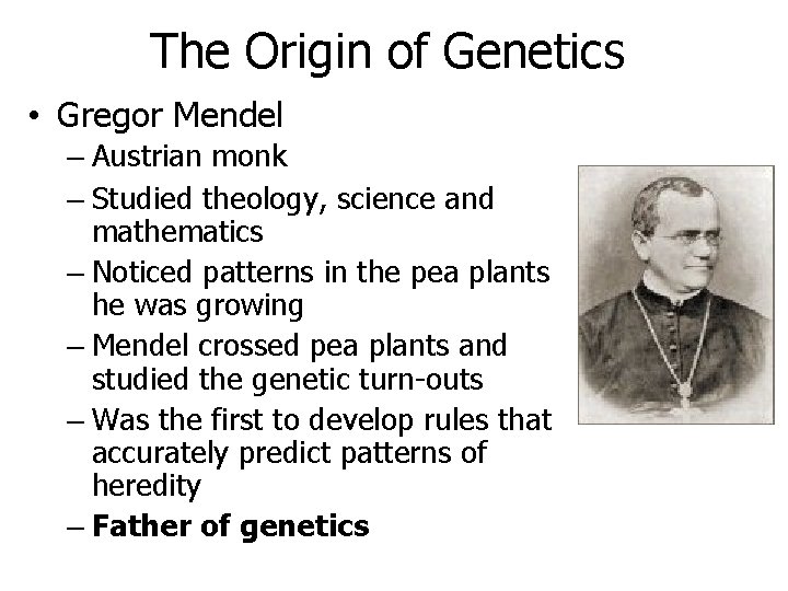 The Origin of Genetics • Gregor Mendel – Austrian monk – Studied theology, science