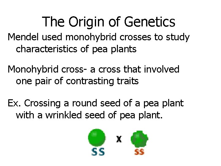 The Origin of Genetics Mendel used monohybrid crosses to study characteristics of pea plants