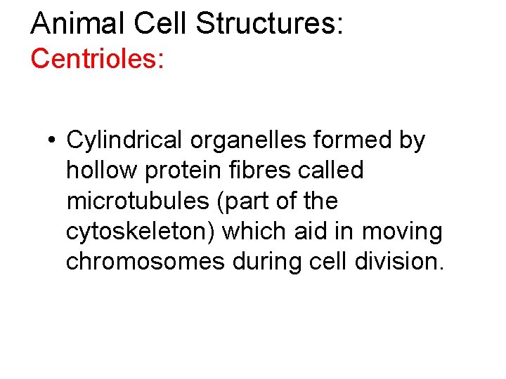 Animal Cell Structures: Centrioles: • Cylindrical organelles formed by hollow protein fibres called microtubules