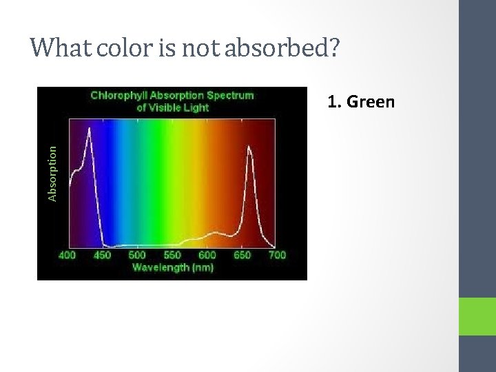 What color is not absorbed? Absorption 1. Green 