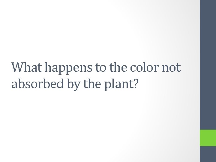 What happens to the color not absorbed by the plant? 