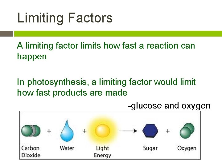 Limiting Factors A limiting factor limits how fast a reaction can happen In photosynthesis,