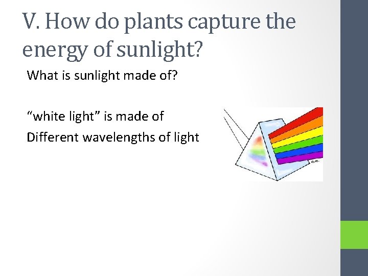 V. How do plants capture the energy of sunlight? What is sunlight made of?