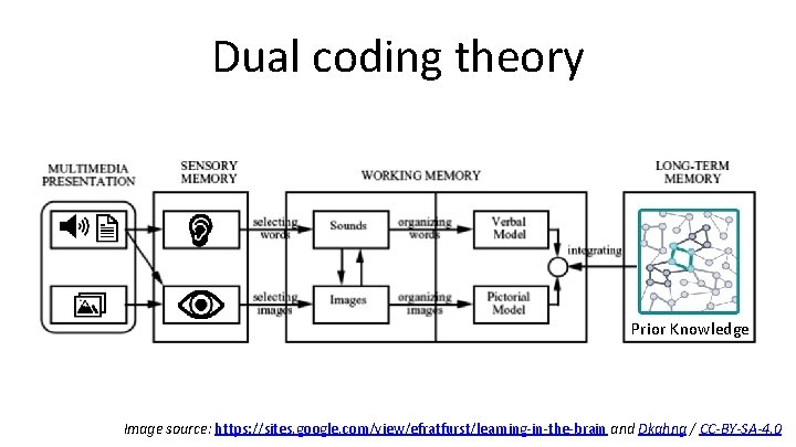 Dual coding theory Prior Knowledge Image source: https: //sites. google. com/view/efratfurst/learning-in-the-brain and Dkahng /
