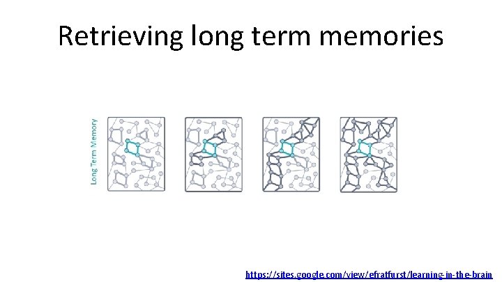 Retrieving long term memories https: //sites. google. com/view/efratfurst/learning-in-the-brain 