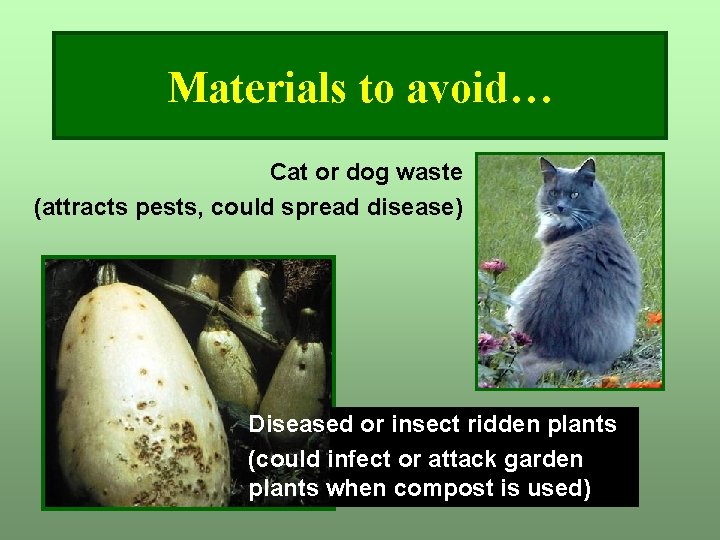 Materials to avoid… Cat or dog waste (attracts pests, could spread disease) Diseased or Materials to avoid… Cat or dog waste (attracts pests, could spread disease) Diseased or