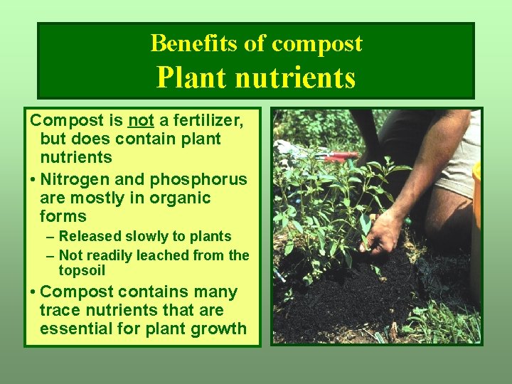 Benefits of compost Plant nutrients Compost is not a fertilizer, but does contain plant Benefits of compost Plant nutrients Compost is not a fertilizer, but does contain plant