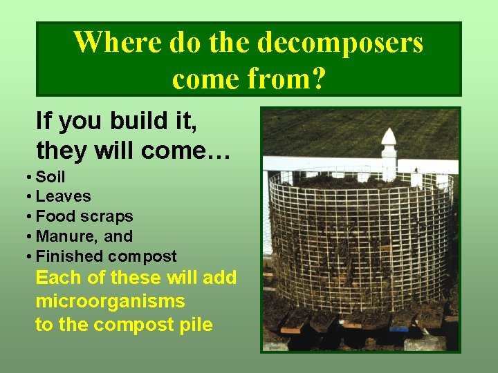Where do the decomposers come from? If you build it, they will come… • Where do the decomposers come from? If you build it, they will come… •