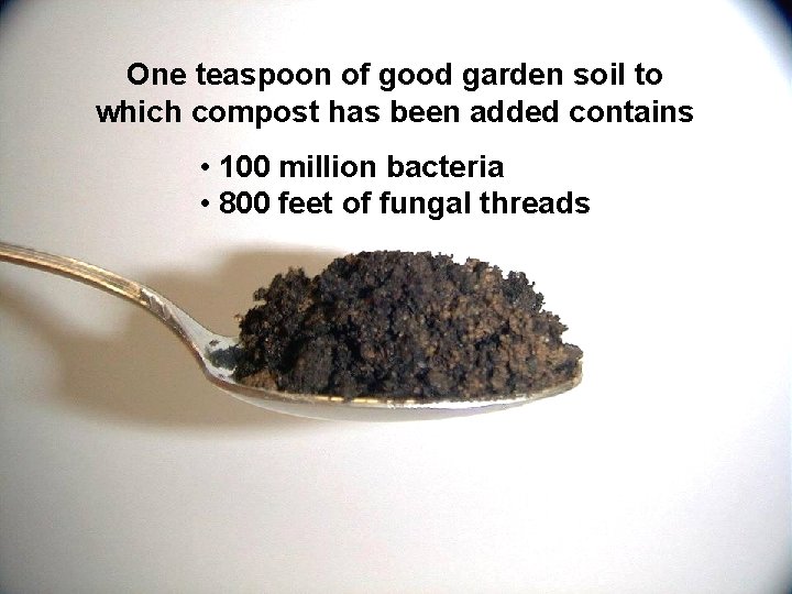 One teaspoon of good garden soil to which compost has been added contains • One teaspoon of good garden soil to which compost has been added contains •