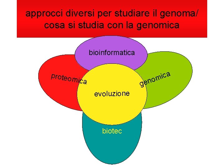 approcci diversi per studiare il genoma/ cosa si studia con la genomica bioinformatica proteom