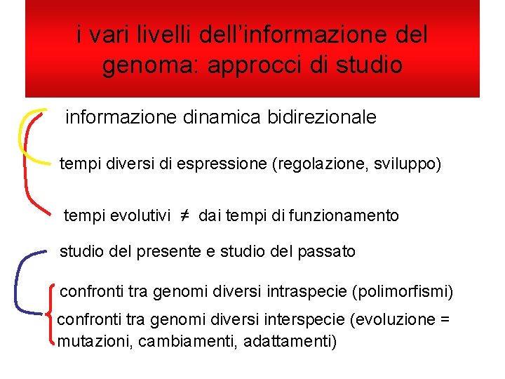 i vari livelli dell’informazione del genoma: approcci di studio informazione dinamica bidirezionale tempi diversi