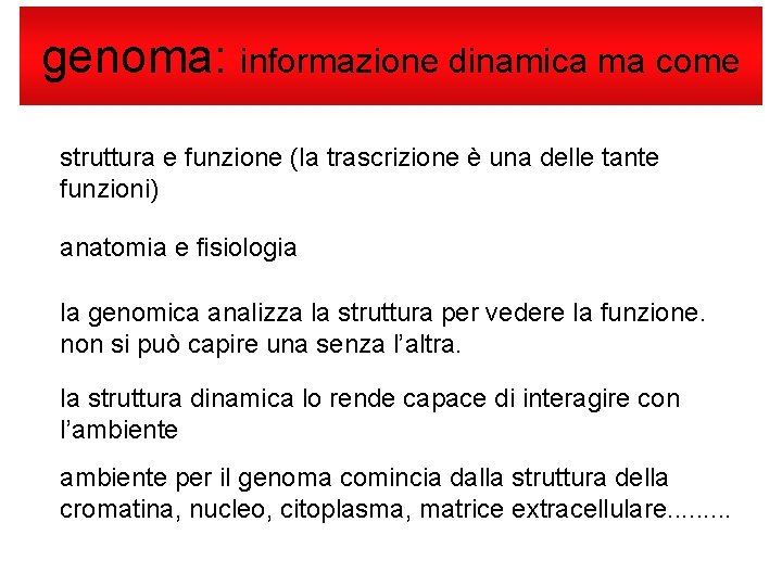 genoma: informazione dinamica ma come struttura e funzione (la trascrizione è una delle tante