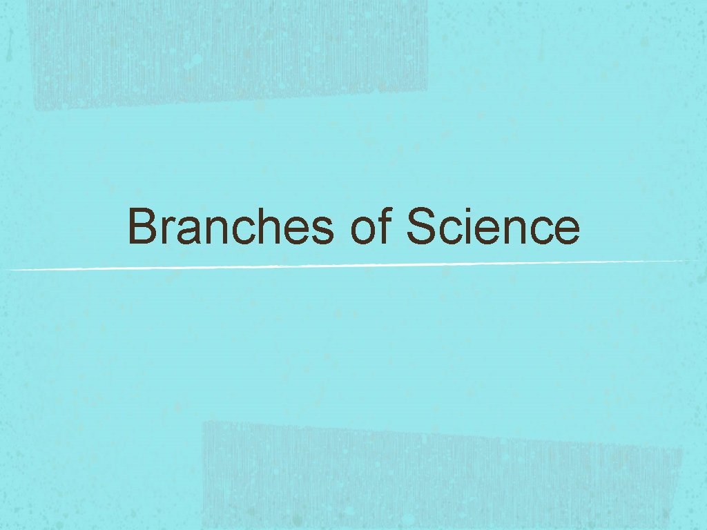 Branches of Science 