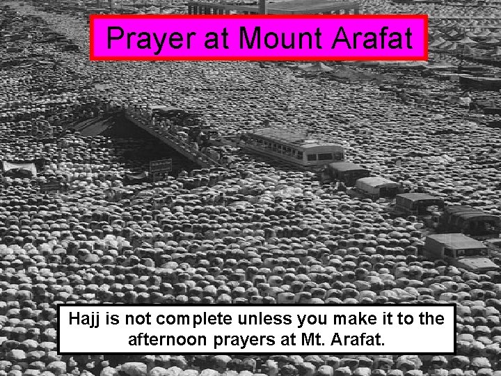 Prayer at Mount Arafat Hajj is not complete unless you make it to the