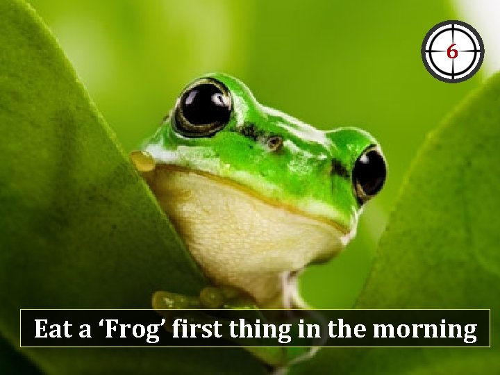 6 Eat a ‘Frog’ first thing in the morning 6 Eat a ‘Frog’ first thing in the morning