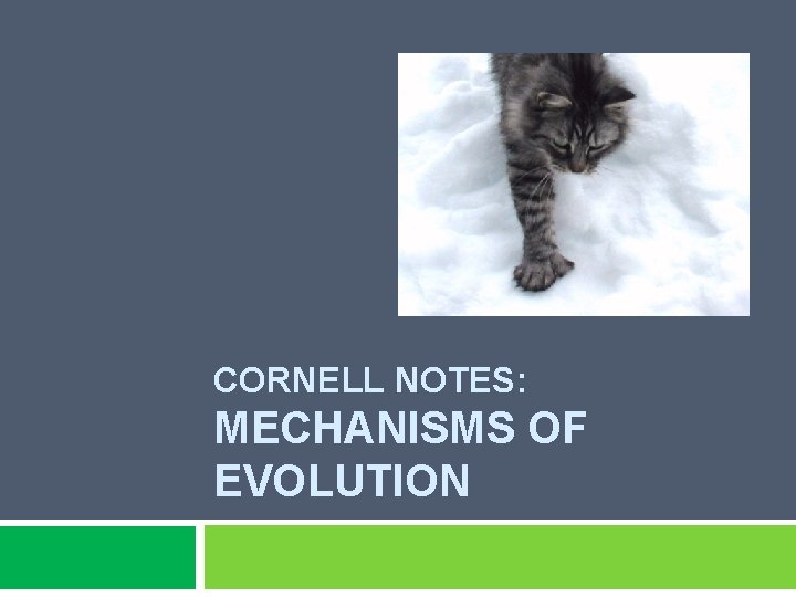 CORNELL NOTES: MECHANISMS OF EVOLUTION 