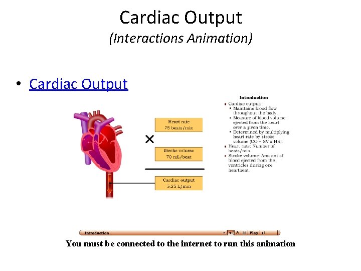 Cardiac Output (Interactions Animation) • Cardiac Output You must be connected to the internet