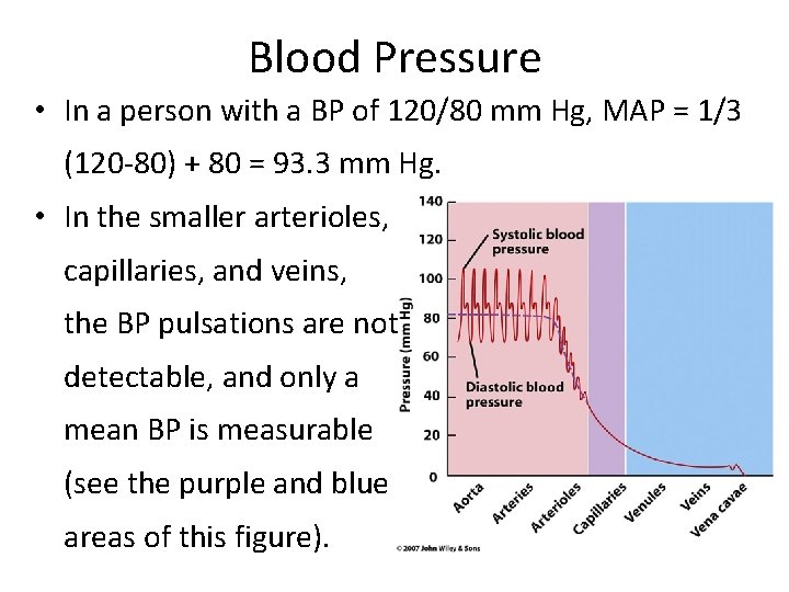 Blood Pressure • In a person with a BP of 120/80 mm Hg, MAP