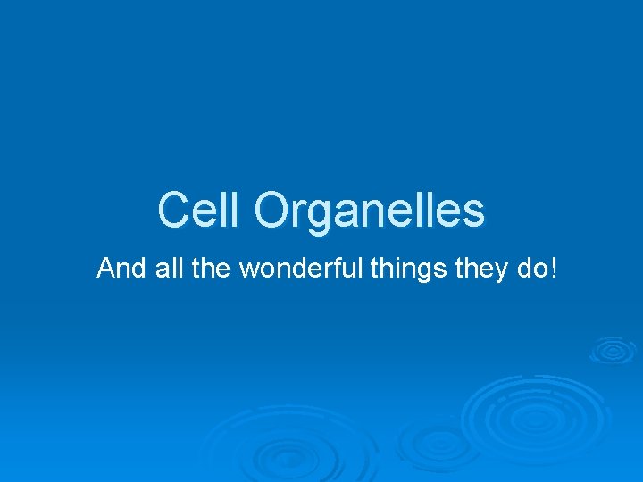 Cell Organelles And all the wonderful things they do! Cell Organelles And all the wonderful things they do!