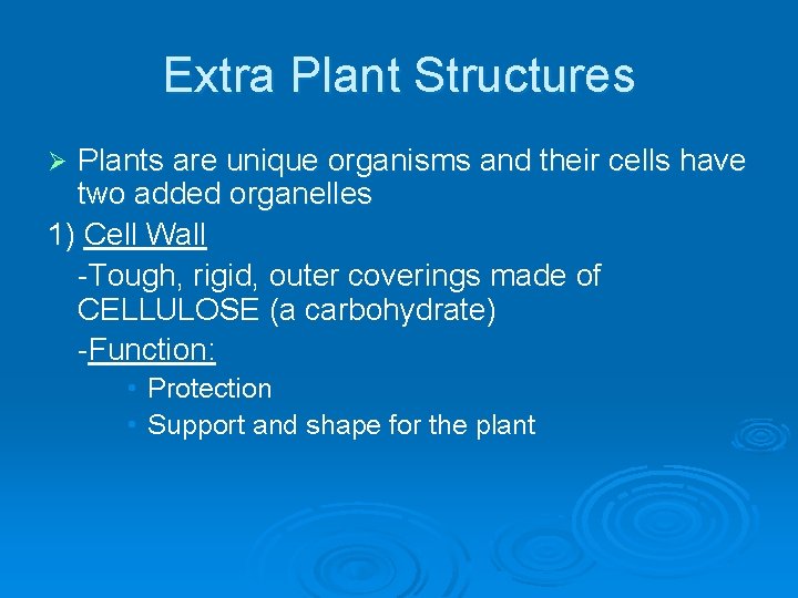 Extra Plant Structures Plants are unique organisms and their cells have two added organelles Extra Plant Structures Plants are unique organisms and their cells have two added organelles