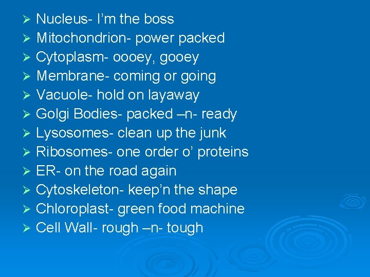 Nucleus- I’m the boss Ø Mitochondrion- power packed Ø Cytoplasm- oooey, gooey Ø Membrane- Nucleus- I’m the boss Ø Mitochondrion- power packed Ø Cytoplasm- oooey, gooey Ø Membrane-