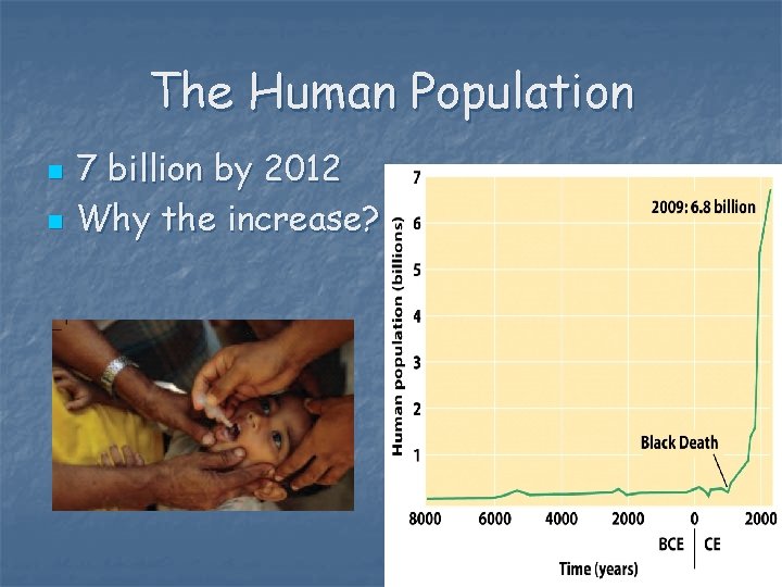 The Human Population n n 7 billion by 2012 Why the increase? 