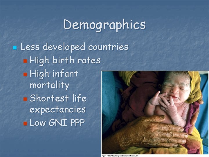 Demographics n Less developed countries n High birth rates n High infant mortality n