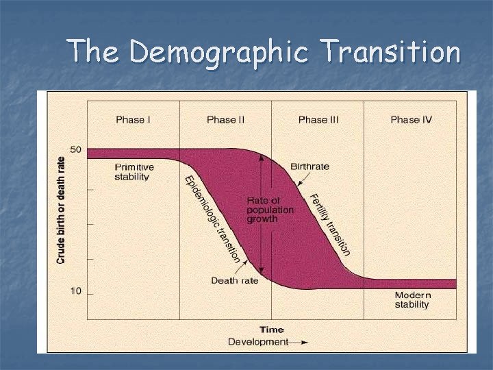 The Demographic Transition 