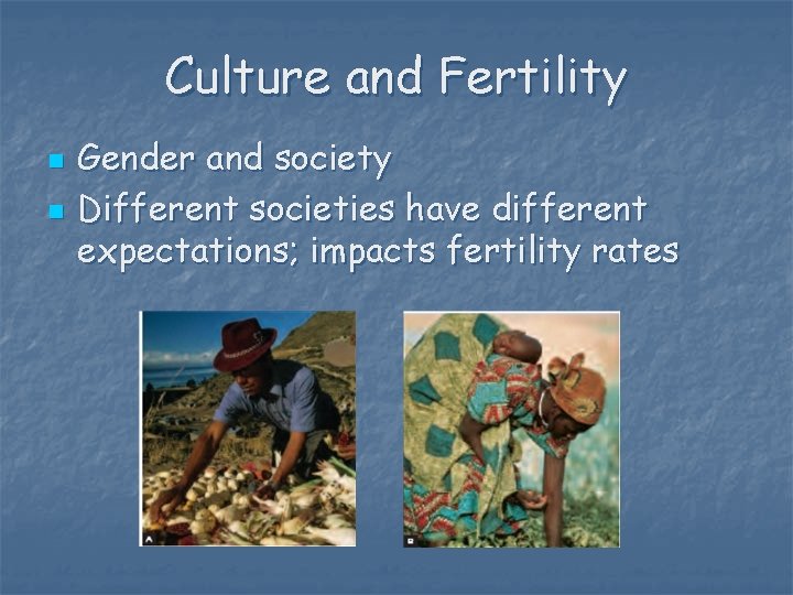 Culture and Fertility n n Gender and society Different societies have different expectations; impacts