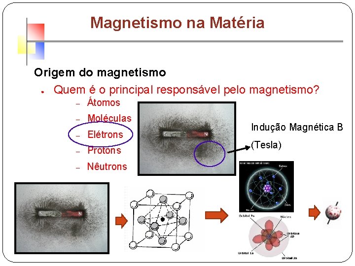 Magnetismo na Matéria Origem do magnetismo ● Quem é o principal responsável pelo magnetismo?