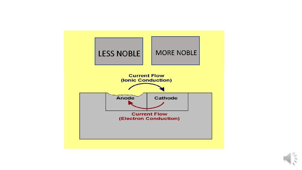 LESS NOBLE MORE NOBLE 