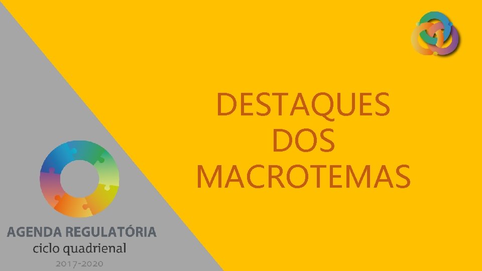 DESTAQUES DOS MACROTEMAS 