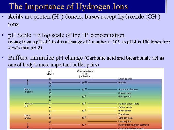 The Importance of Hydrogen Ions • Acids are proton (H+) donors, bases accept hydroxide The Importance of Hydrogen Ions • Acids are proton (H+) donors, bases accept hydroxide