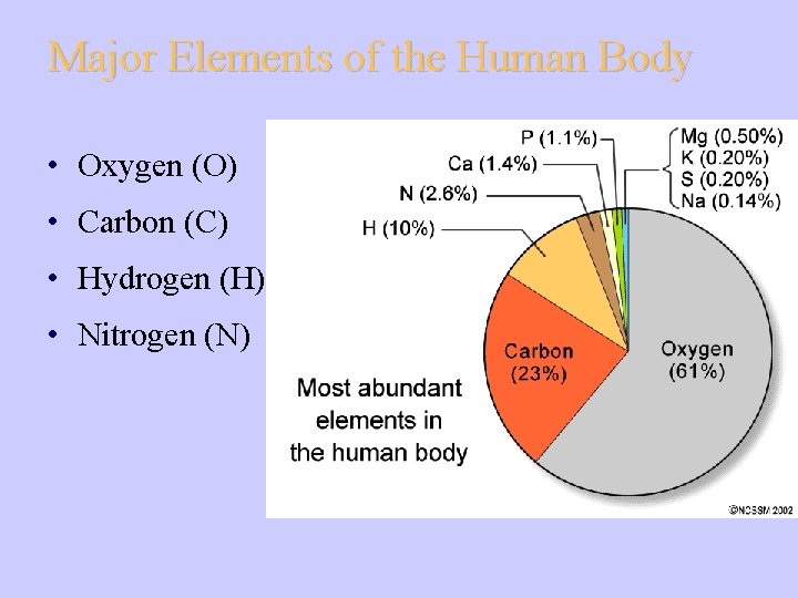 Major Elements of the Human Body • Oxygen (O) • Carbon (C) • Hydrogen Major Elements of the Human Body • Oxygen (O) • Carbon (C) • Hydrogen