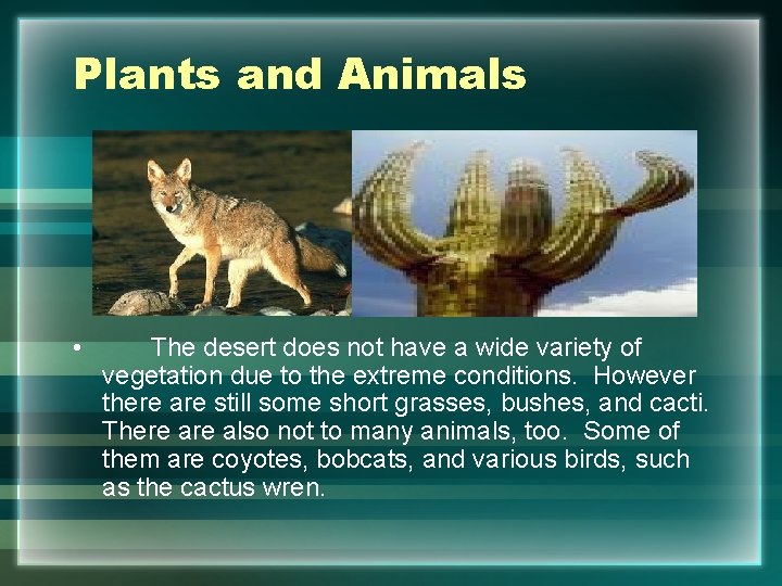 Plants and Animals • The desert does not have a wide variety of vegetation
